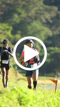 BIB:  <button type="button" onclick="openModal(26573120)" class="btn btn-primary btn-sm float-right" data-toggle="modal" data-target=".modal-high-quality">
                <i class="fa fa-download"></i> Download
                </button>